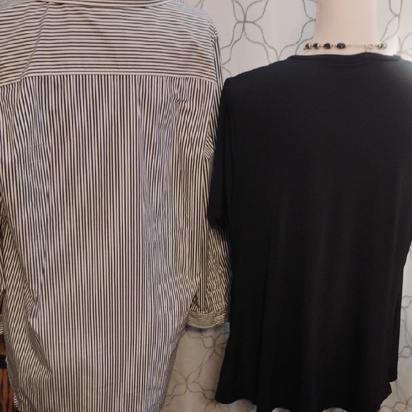 Size XL Blouse Bundle - Picture 3 of 8